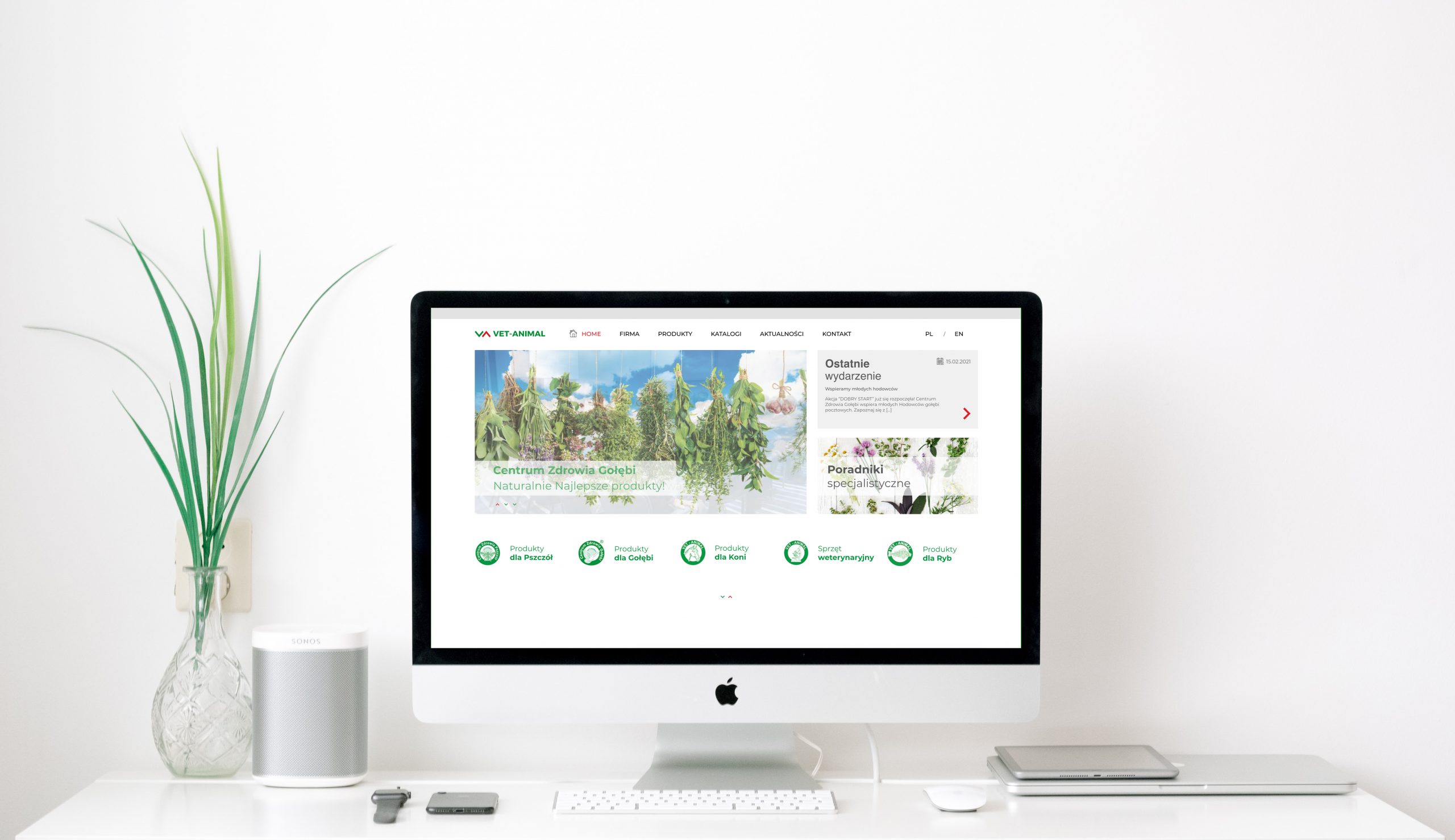 Strona WWW dla VetAnimal